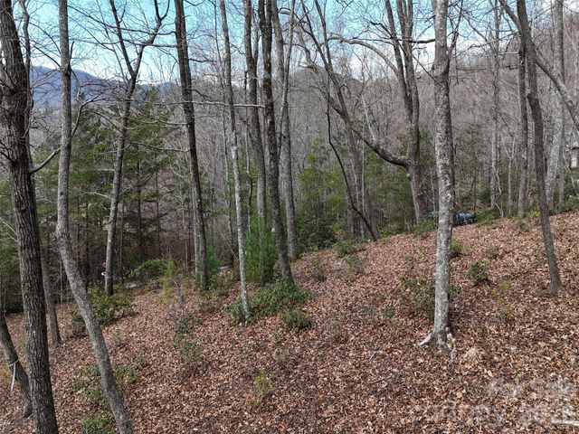 709 Craggyside Lane 24, Arden, NC 28704