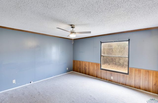 5315 County Road 4172D ,, Laneville, TX 75667