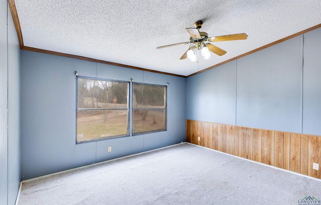 5315 County Road 4172D ,, Laneville, TX 75667