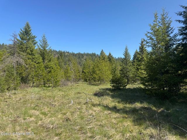 NNA Backroads Way Lot 3, Priest River, ID 83856