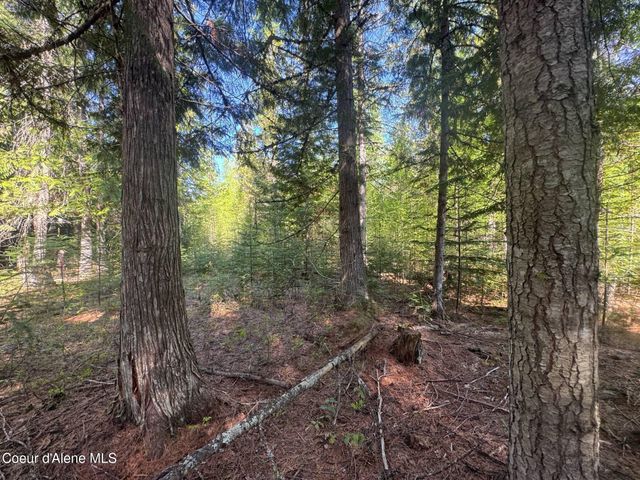 NNA Backroads Way Lot 3, Priest River, ID 83856