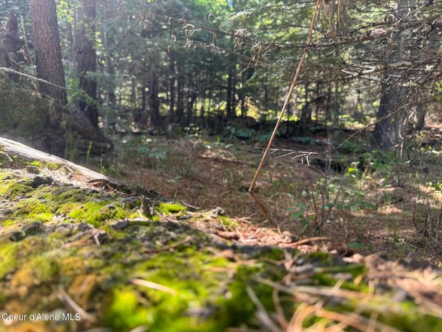 NNA Backroads Way Lot 3, Priest River, ID 83856