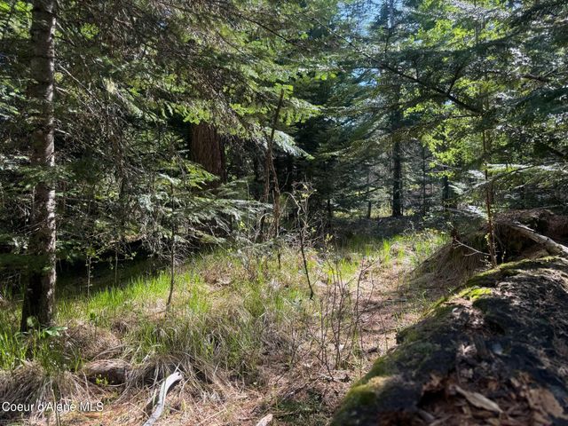 NNA Backroads Way Lot 3, Priest River, ID 83856
