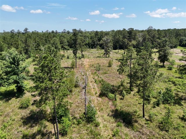 TBD Magnolia Park, Conroe, TX 77306