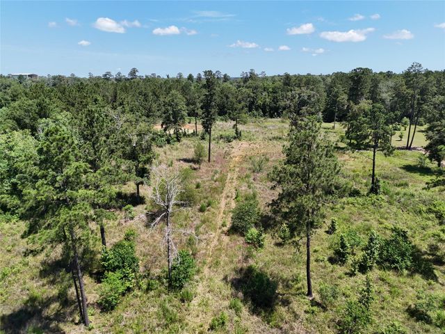 TBD Magnolia Park, Conroe, TX 77306