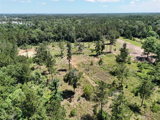 TBD Magnolia Park, Conroe, TX 77306