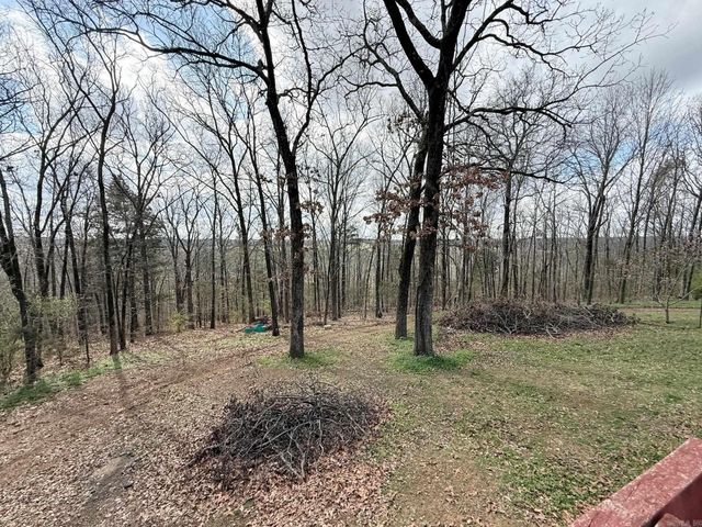 21 Treasure Creek, Greenbrier, AR 72058