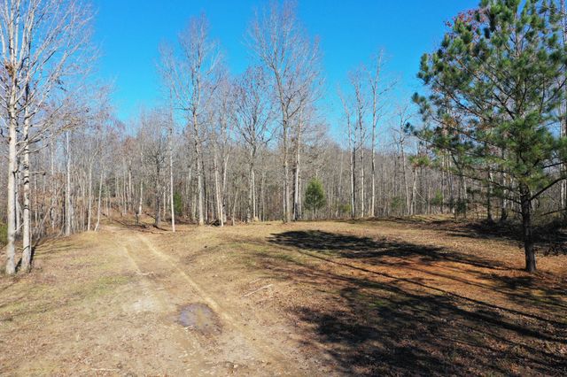 0 Bell Branch Road, Nunnelly, TN 37137