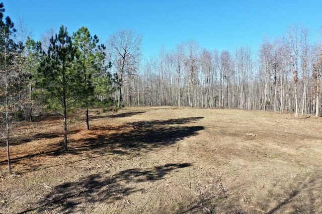 0 Bell Branch Road, Nunnelly, TN 37137