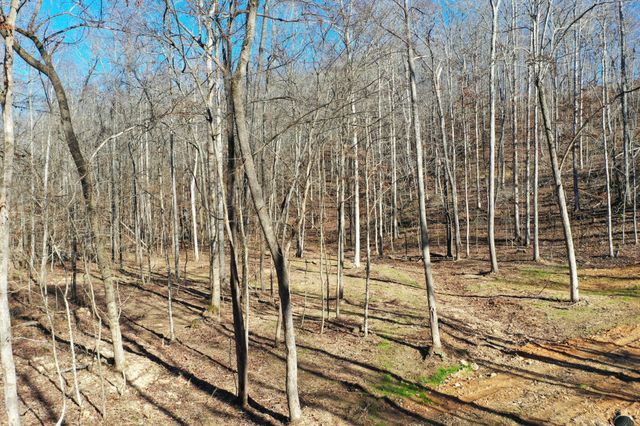 0 Bell Branch Road, Nunnelly, TN 37137