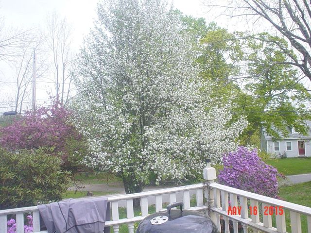66 E Main Street, Rindge, NH 03461