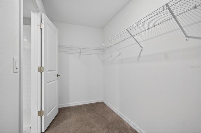 9909 CALYPSO ORCHID COURT, Riverview, FL 33578