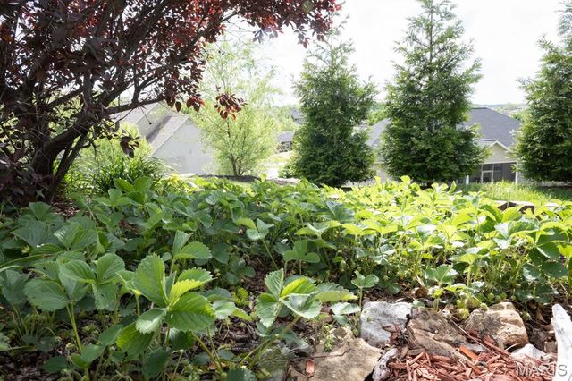 4947 S Point Road, Washington, MO 63090