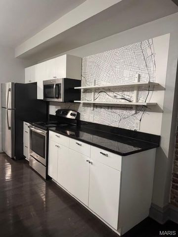 4336 McRee Avenue, St Louis, MO 63110