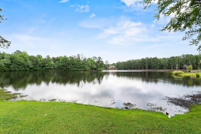 467 N High Duck Trail, Blythewood, SC 29016
