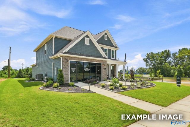 109 Cotita Drive, Toney, AL 35773