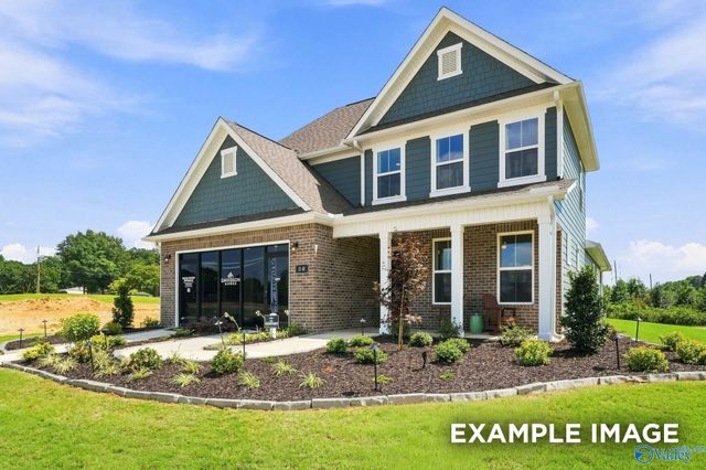 109 Cotita Drive, Toney, AL 35773
