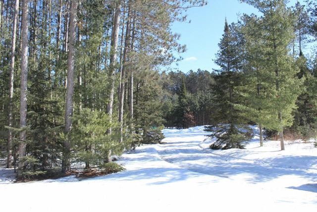 N11914 ORIOLE LANE, Elcho, WI 54428