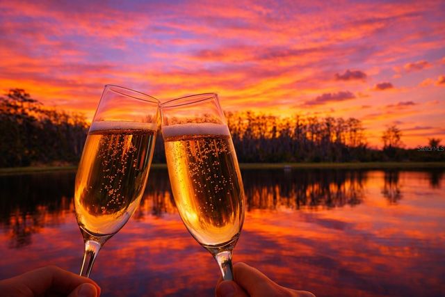 2183 CRYSTAL BELL STREET, Orlando, FL 32824