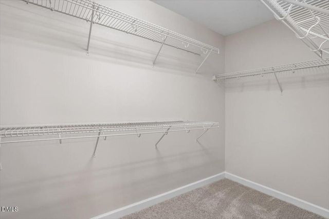 1101 Circandian Court, Morrisville, NC 27560