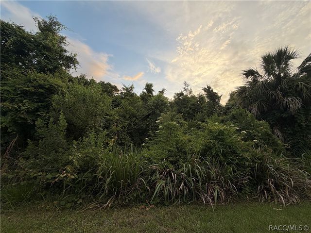 1089 N Fan Palm Point, Crystal River, FL 34429