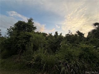 1089 N Fan Palm Point, Crystal River, FL 34429