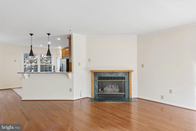 14214 PLUM RUN WAY, Silver Spring, MD 20906