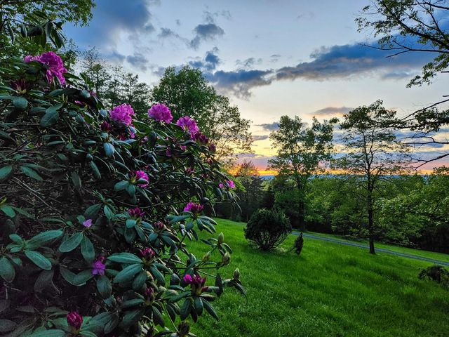 188 NEW MARKET RESERVOIR RD, New Market, VA 22844