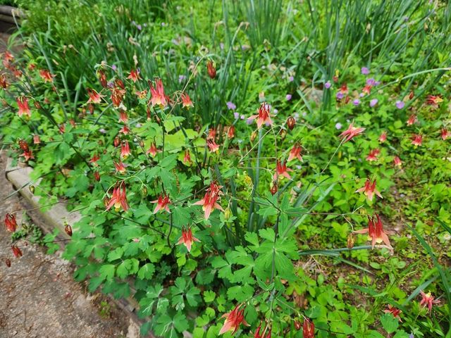 188 NEW MARKET RESERVOIR RD, New Market, VA 22844