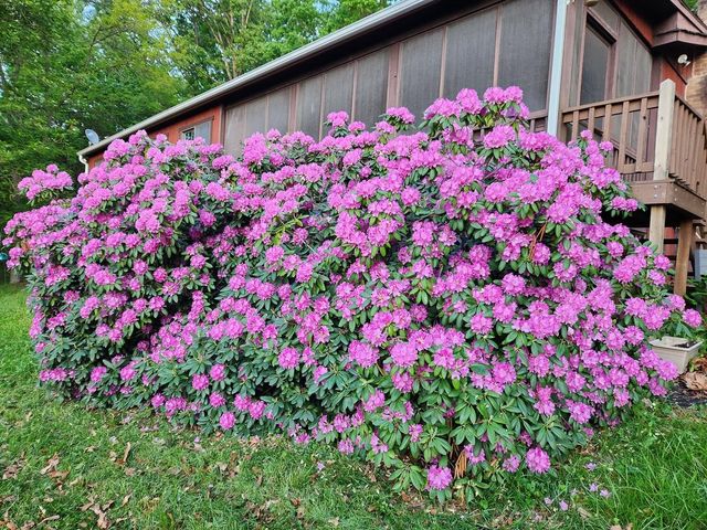 188 NEW MARKET RESERVOIR RD, New Market, VA 22844