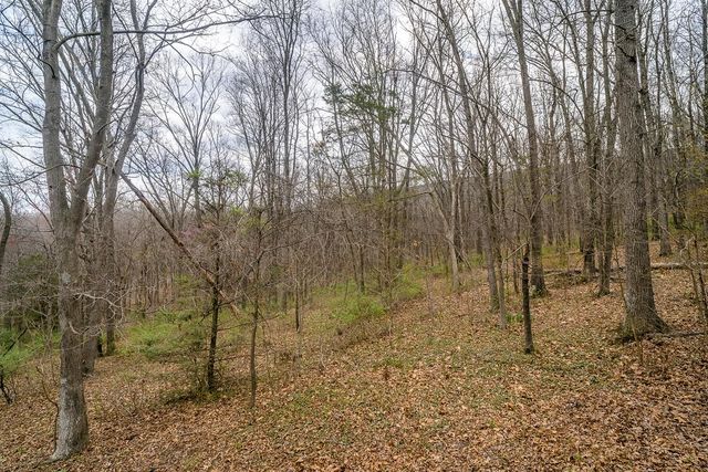 188 NEW MARKET RESERVOIR RD, New Market, VA 22844