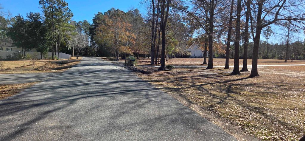 59 Fiddlers Loop, Georgetown, SC 29440 — photo 2