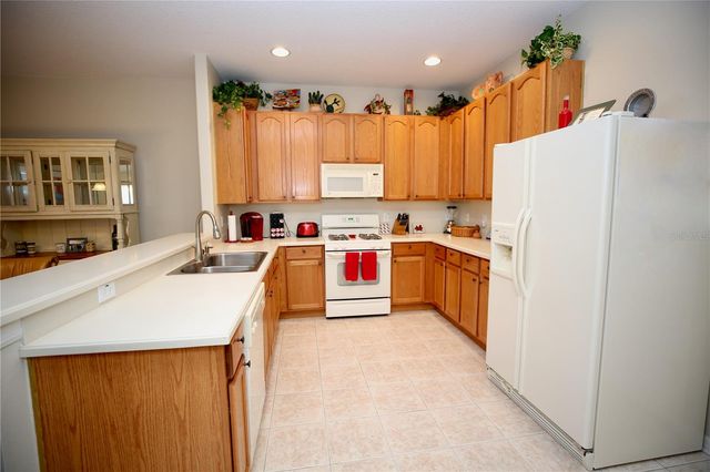 2753 TANGLEWYLDE DRIVE, Land O Lakes, FL 34638