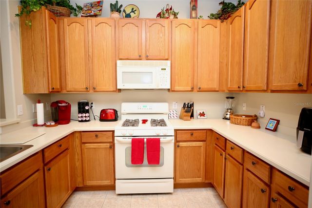 2753 TANGLEWYLDE DRIVE, Land O Lakes, FL 34638