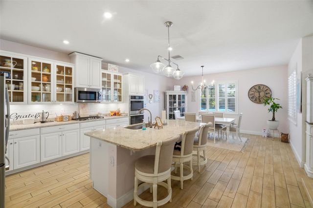 11750 LAKE LUCAYA DRIVE, Riverview, FL 33579