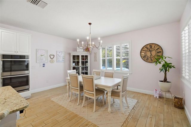 11750 LAKE LUCAYA DRIVE, Riverview, FL 33579