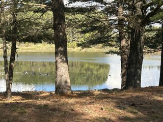 6878 Bantry Bay, Stanwood, MI 49346