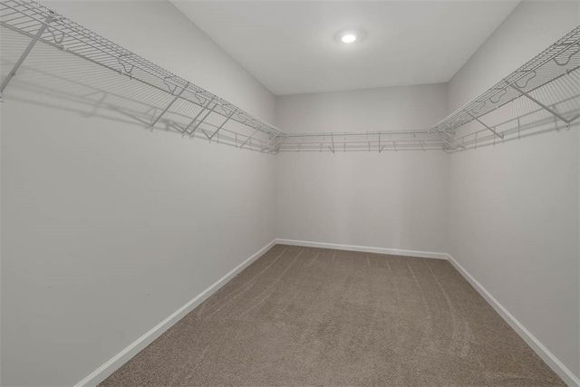 10016 Woodland Cove, Brunswick, GA 31525