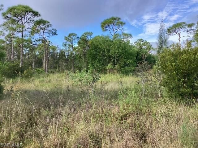 8817 Evergreen LN, Other, FL 33956