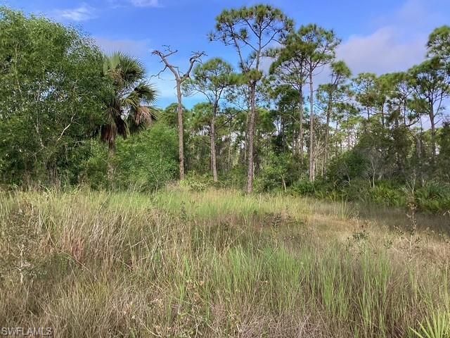 8817 Evergreen LN, Other, FL 33956