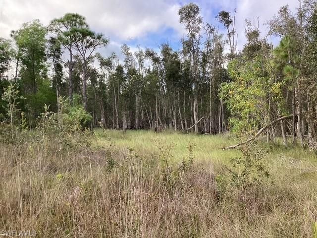 8817 Evergreen LN, Other, FL 33956