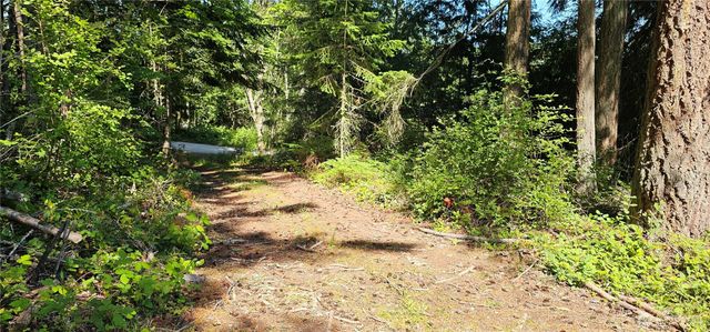 222 Triangle Cove Lane, Camano Island, WA 98282