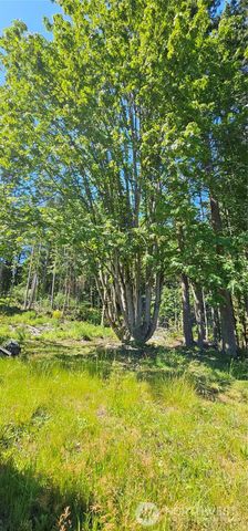 222 Triangle Cove Lane, Camano Island, WA 98282