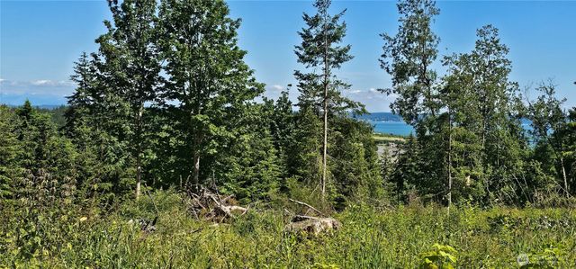 222 Triangle Cove Lane, Camano Island, WA 98282
