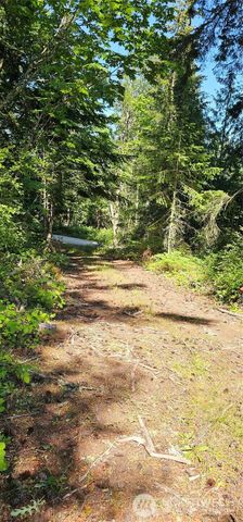 222 Triangle Cove Lane, Camano Island, WA 98282