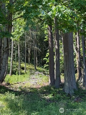222 Triangle Cove Lane, Camano Island, WA 98282