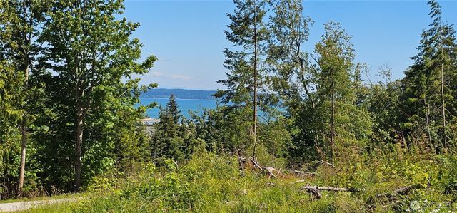222 Triangle Cove Lane, Camano Island, WA 98282