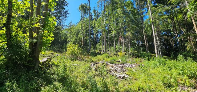 222 Triangle Cove Lane, Camano Island, WA 98282