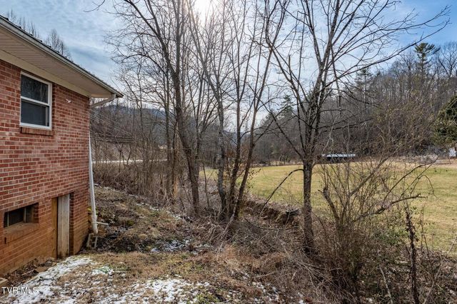 1253 Highway 321, Hampton, TN 37658