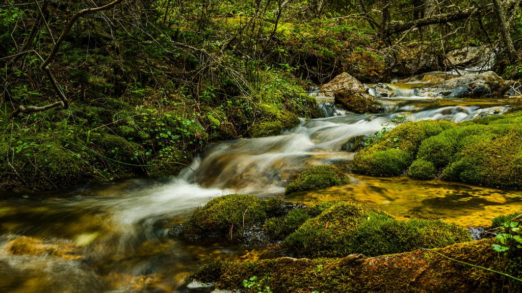 180 Styx Road, Big Horn, WY 82833 photo 10